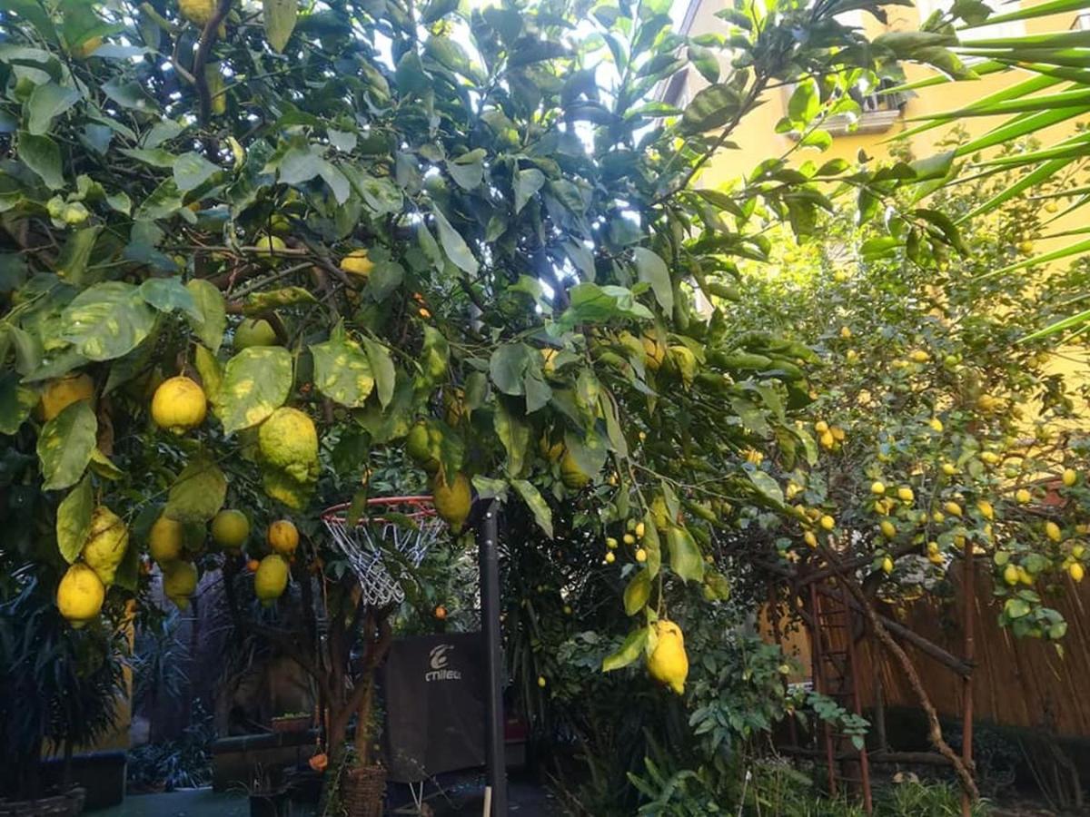 Ferienwohnung La Limonaia Di Chiaia Neapel Exterior foto