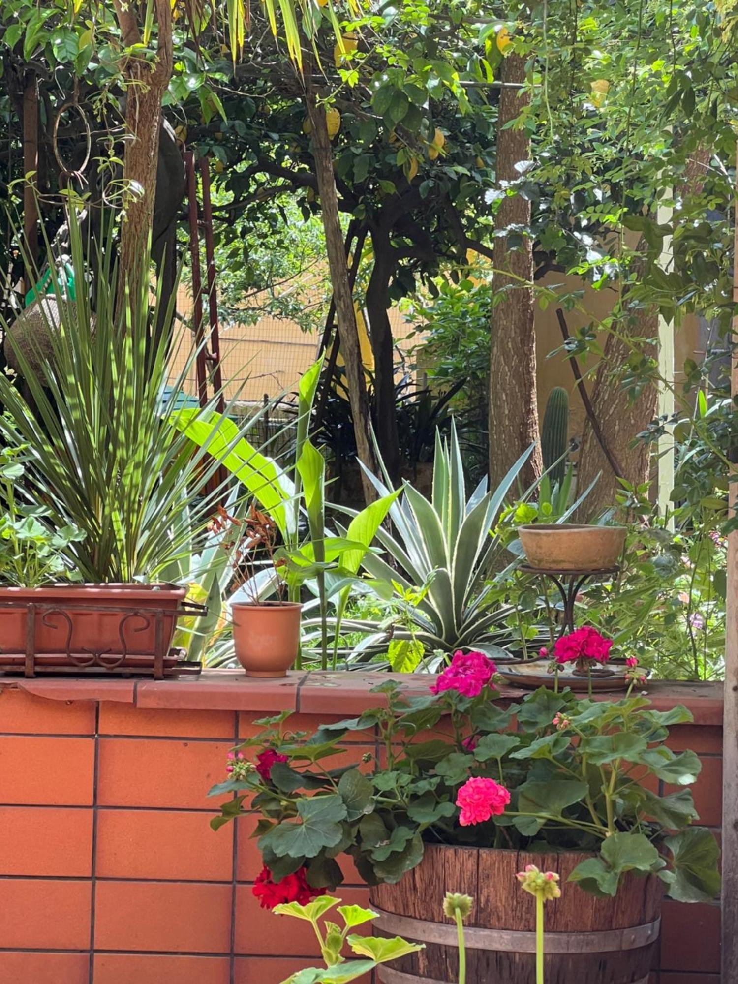 Ferienwohnung La Limonaia Di Chiaia Neapel Exterior foto